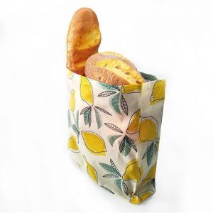 Reusable Vegan Lunch Bags2