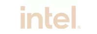 intel